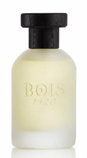 Parfimērijas ūdens Bois 1920 Vetiver Ambrato, 100 ml