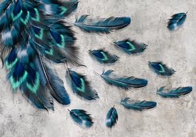 Fototapetas Artgeist Blown Feathers SFT2339SAM, 70 cm x 98 cm