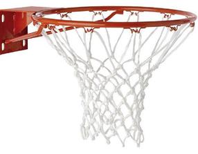 Basketbola grozs Tremblay, 2 gab.