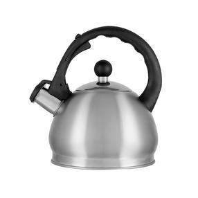 Tējkanna ar svilpi Aurora AU622, 2 l, sudraba krās.