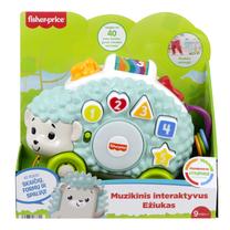 Muzikinis interaktyvus ežiukas Mattel Fisher Price