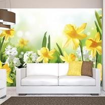 Fototapetas Artgeist Spring Walk 3XLNEW010145, 245 cm x 350 cm