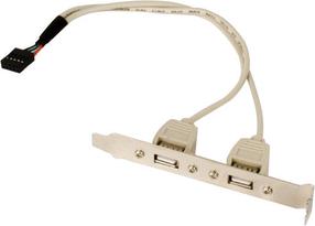 Adapteris Gembird 1 x Internal USB to 2 x USB Type-A USB 2.0 x 2, USB 10 pin internal, 0.25 m