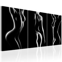 Reprodukcija Artgeist Night Of Senses HK4331-DKX, 120 cm x 60 cm