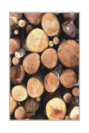 Kilimas Conceptum Hypnose HMNT550, ruda sp., 150 cm x 80 cm