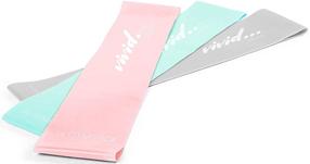Takistuskumm Gymstick Vivid Line Mini Band Set, 25 cm x 5 cm, roosa v.