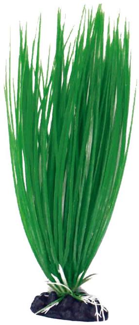 Akvariumo dekoracija Croci Acorus SM, žalia sp.