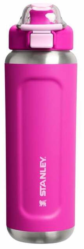 Termopudele Stanley Wellspring, 0.71 l, violet blossom krās.