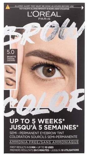 Antakių dažymo rinkinys L’Oréal Paris Brow Color, 15 ml, brunette 005