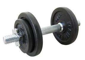 Surenkamas svarmuo Hammer Finnlo, 10 kg
