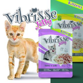 Mitrā kaķu barība Croci Vibrisse Jelly Chicken in Jelly, vistas gaļa, 0.07 kg