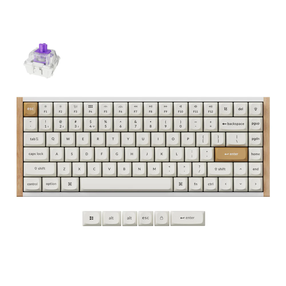 Juhtmevaba mänguklaviatuur Keychron K2 HE Special Edition Wireless K2H-Q1 Gateron Double-Rail Magnetic Nebula, Inglise (US), valge v.