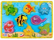Lavinimo žaislas RoGer Magnetic Board Fish, įvairių spalvų, 9 vnt.