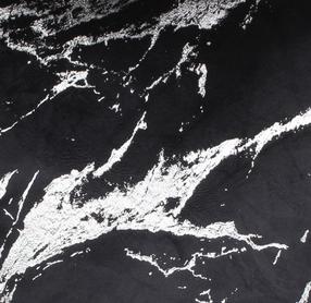 Stalo takelis kvadratinė Splendid Storm, sidabro/juoda, 85 x 85 cm