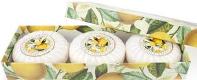 Seebikomplekt Fiorentino Bergamot and Gardenia, bergamott/gardeenia, 300 g, 3 tk