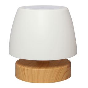 Stalinis šviestuvas CristalRecord, LED, 3W, balta sp./medienos sp.