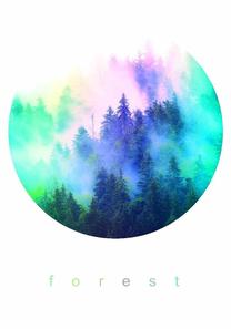 Paveikslas DecoKing Watercolor Forest, 50 cm x 70 cm