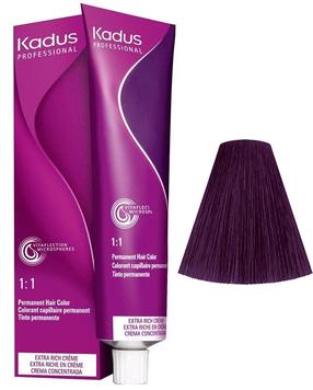 Plaukų dažai Kadus Professional Permanent Color, dark brunette violet sp., 3/6, 60 ml