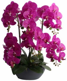 Dirbtinis augalas vazone, orchidėja Home4you Garden Queen, žalia sp./rožinė sp., 64 cm