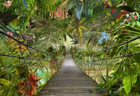 Фотообои Komar WILD BRIDGE 8-977, 254 см x 368 см