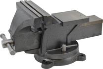 Spaustuvas AWTools 6"/150mm AW24218, plienas/ketus