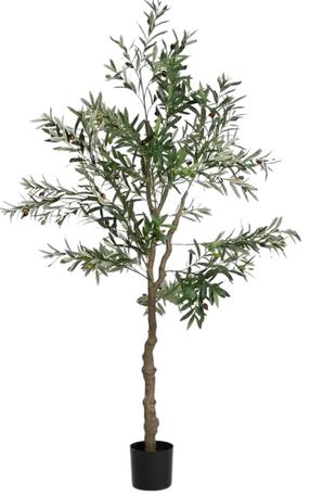 Dirbtinis augalas vazone, alyvmedis Homla Basic Greenora, žalia sp., 180 cm