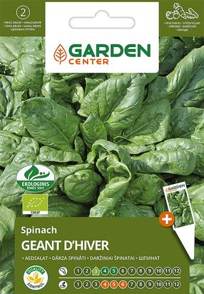 Seemned Garden Center, spinat GEANT D'HIVER, 2 g
