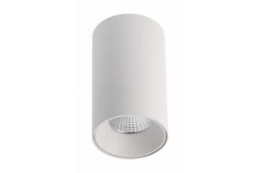 Šviestuvas lubų GTV Prime PRIME LD-PRM10WB-NB, LED, 4000 °K, 1 x 10 W, skaidri sp. / balta sp.