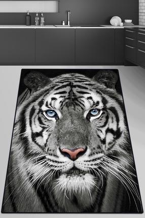 Paklājs Conceptum Hypnose Savage 150 x 240, daudzkrāsaina, 240 cm x 150 cm
