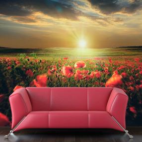 Fototapetas Artgeist Morning On The Poppy Meadow XXLFTNT1542SAM, 231 cm x 294 cm