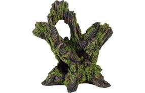Akvariumo dekoracija Flamingo Moza Tree Stump, 0.307 kg, ruda sp./žalia sp., 15 cm