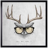 Foto paveikslas Owl, 50 cm x 50 cm