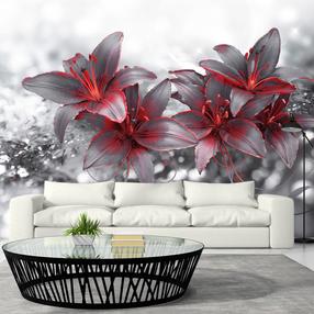 Fototapetas Artgeist Shadow Of Passion, 140 cm x 200 cm