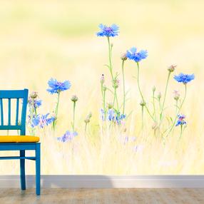 Фотообои Artgeist Cornflowers, 309 см x 400 см