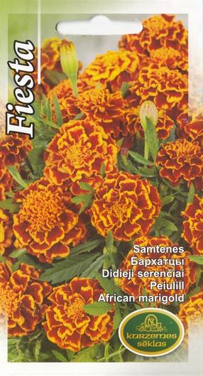 Семена Kurzemes sēklas бархатцы Fiesta, 4 г
