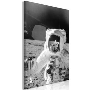 Репродукция Artgeist Profession of Astronaut KR33, 60 см x 90 см