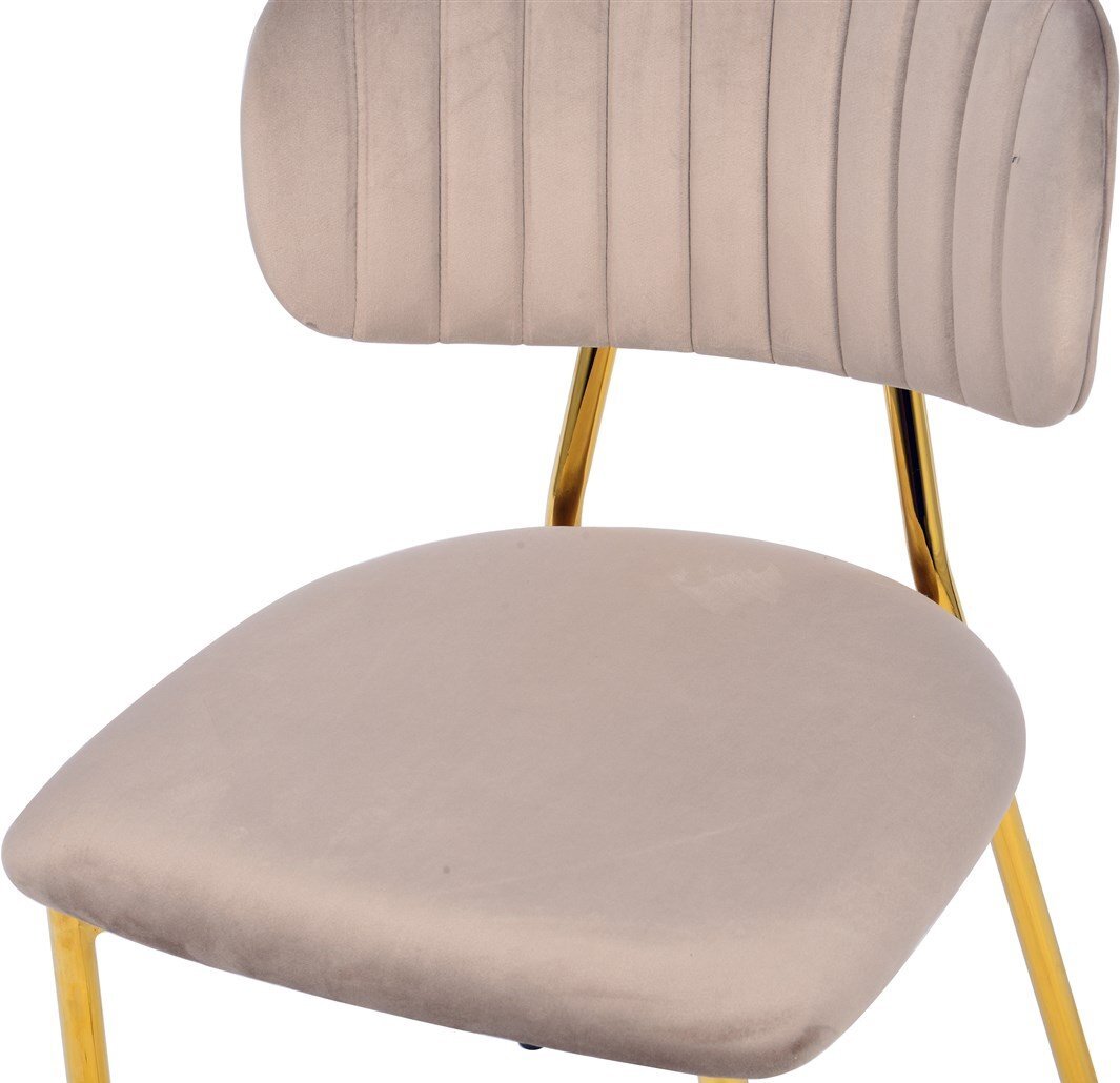 kumi☺︎ Noveen IKN110 insect trap| Liumenai.lt