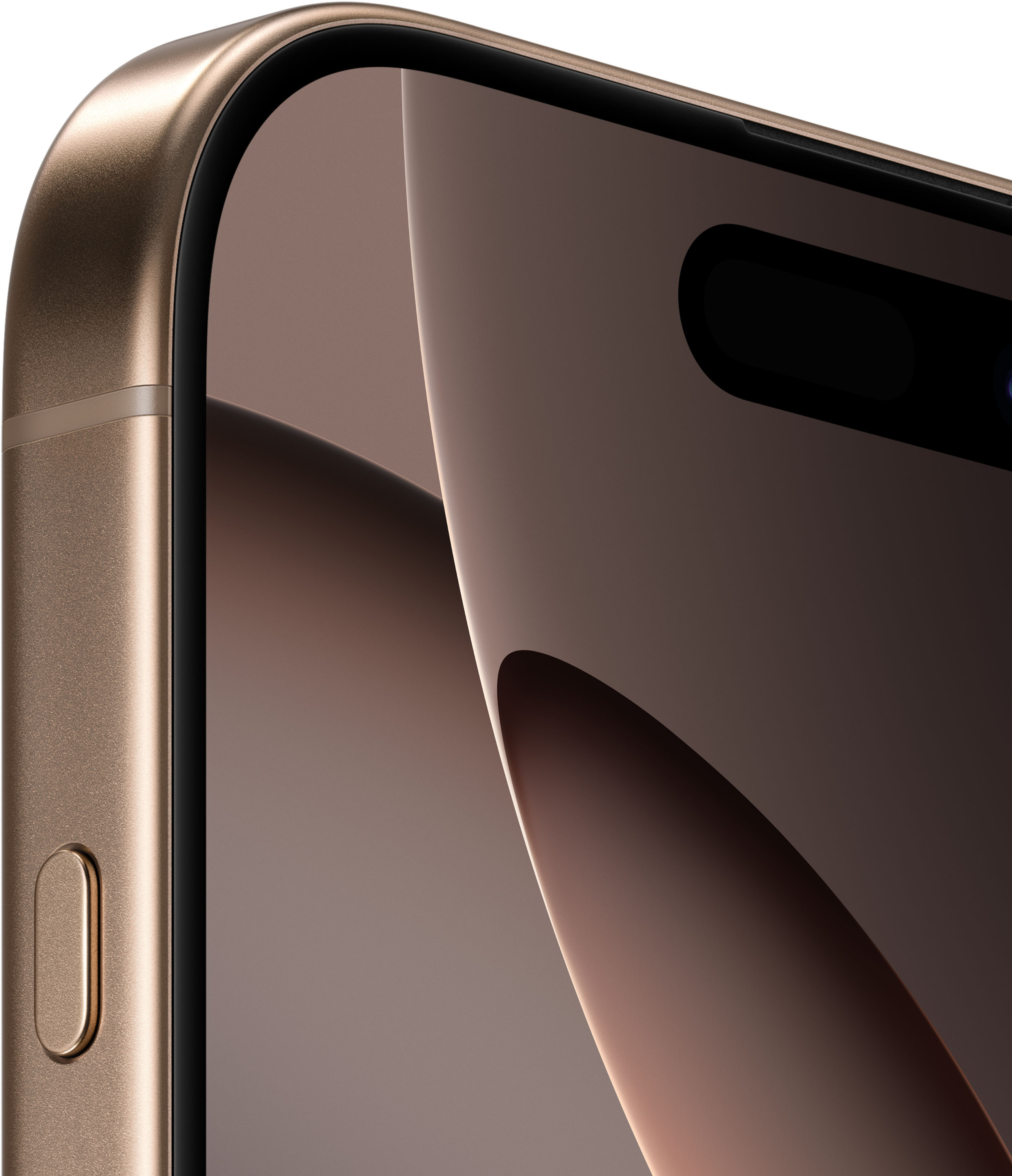 Mobilusis telefonas Apple iPhone 16 Pro, 256 GB, juodo titano sp