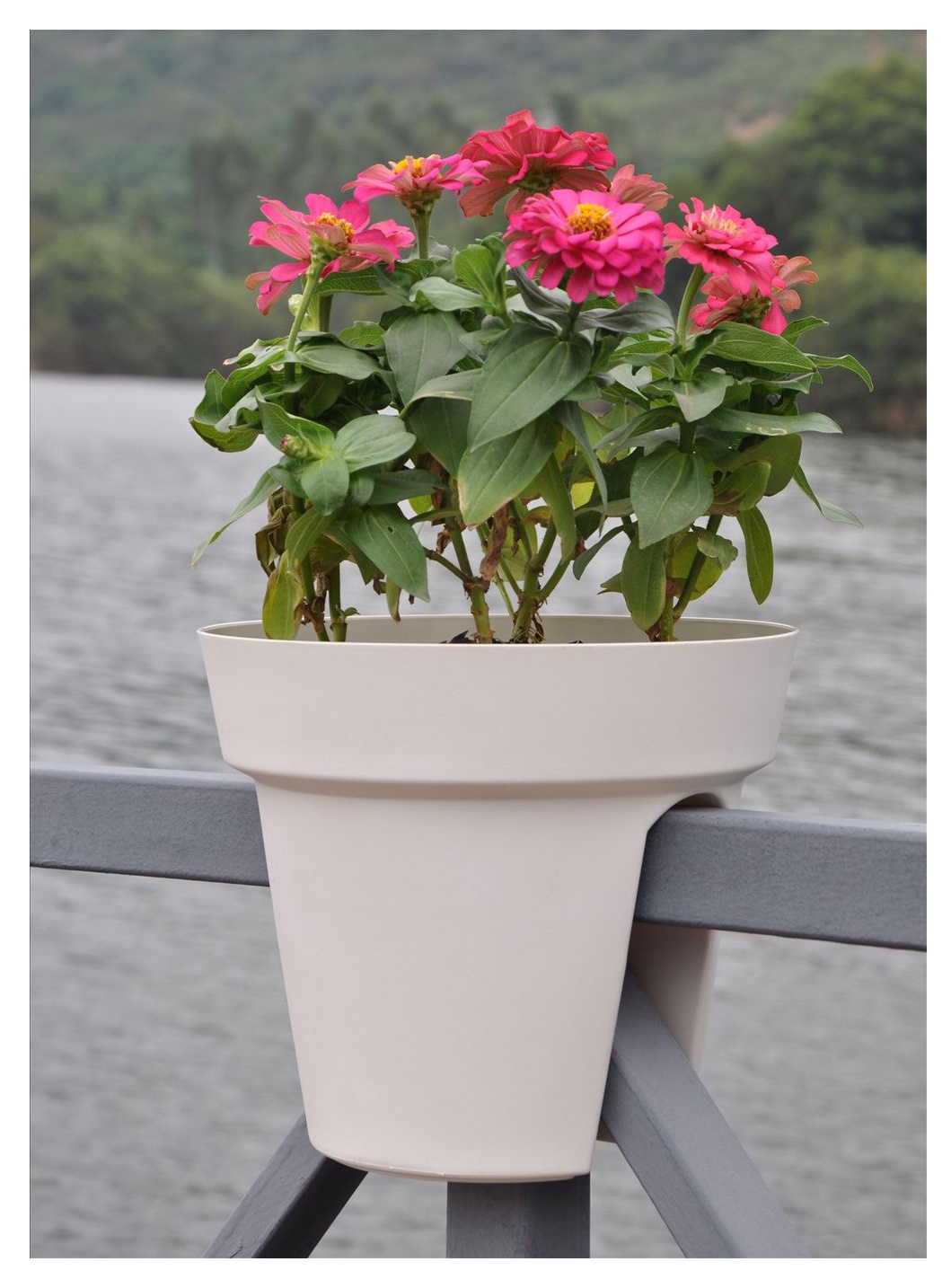 Balkoninis vazonas LL021, plastikinis, Ø 28 cm, balta sp. - Senukai.lt