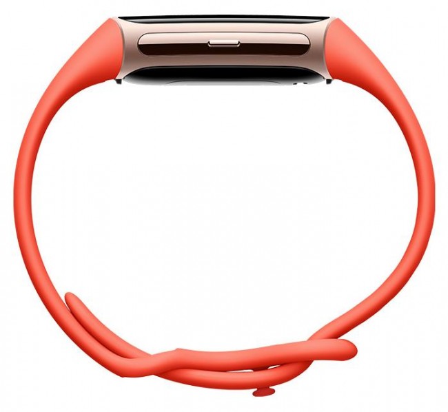 Išmanusis laikrodis Fitbit Charge 6, juoda sp. - Senukai.lt