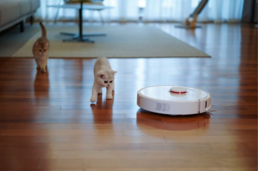 The best vacuum cleaner