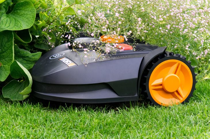 Robotniiduk lillepeenra ääres.