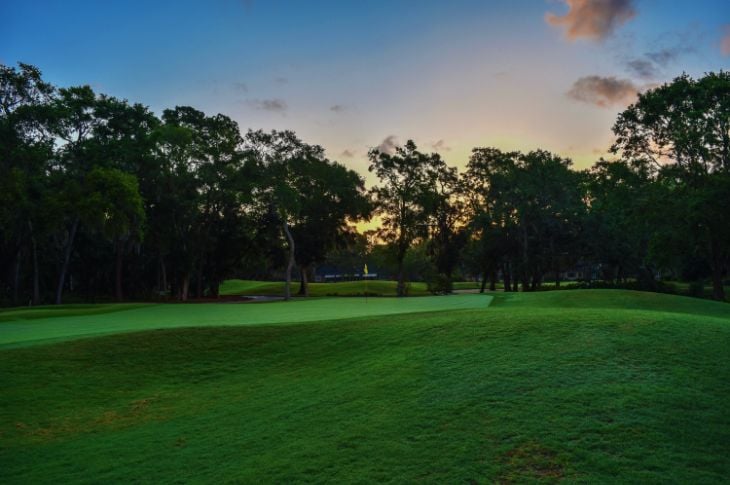 golfiväljak niidetud ja hooldatud muruga