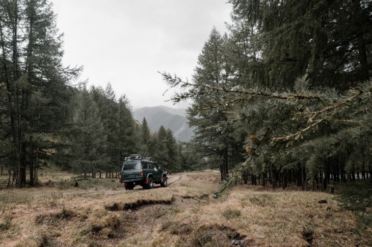 Maastur sõidab kinni kasvanud metsatee peal.