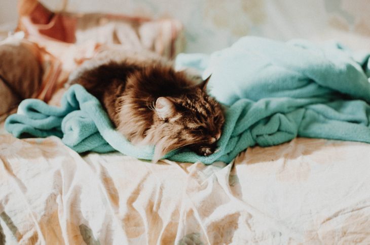 Mida kinkida sõbrannale jõuludeks 