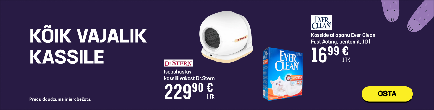 Kõik vajalik kassile
