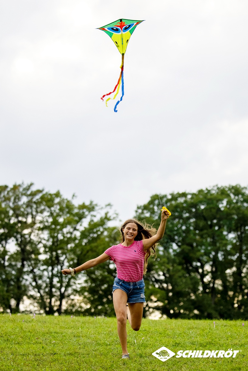 Воздушный змей Schildkrot Classic Kite CrazyBird, 70 см, многоцветный