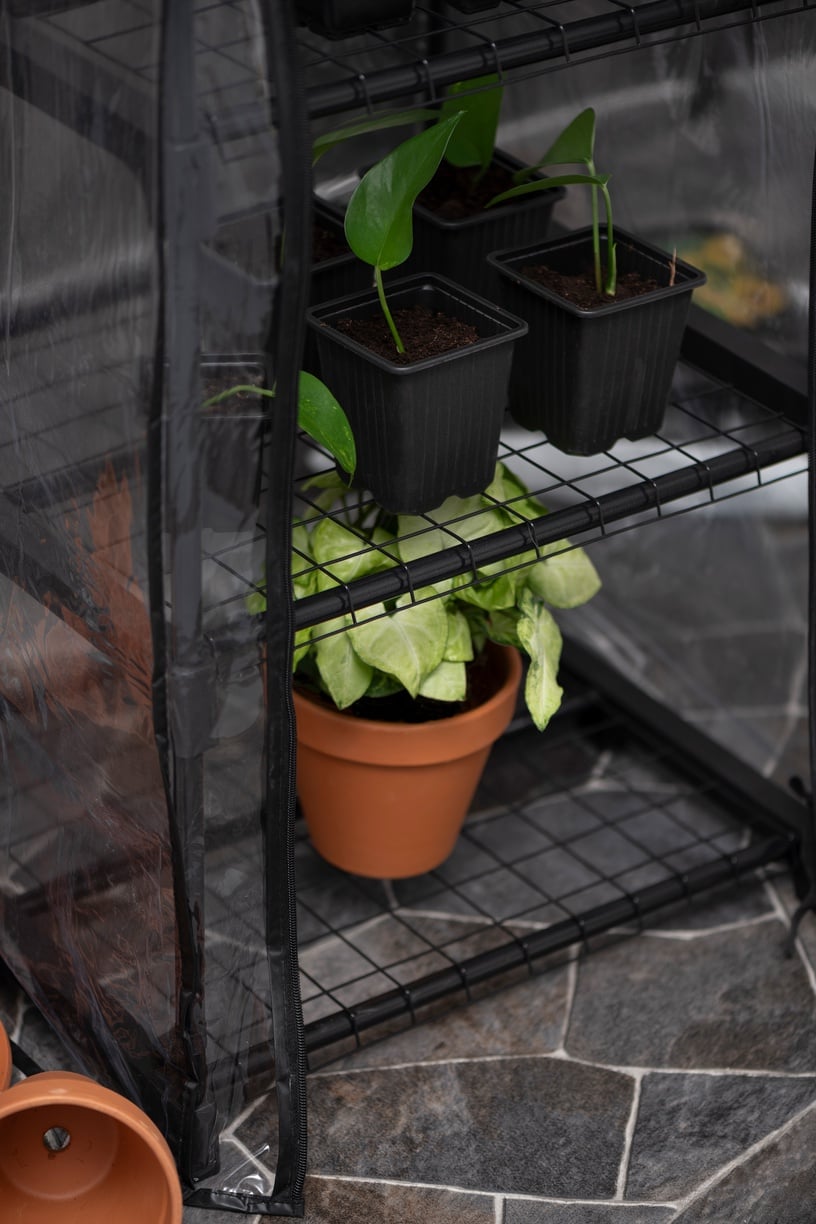 Mini siltumnīca 4Living Greenhouse, 45 cm x 50 cm x 108 cm