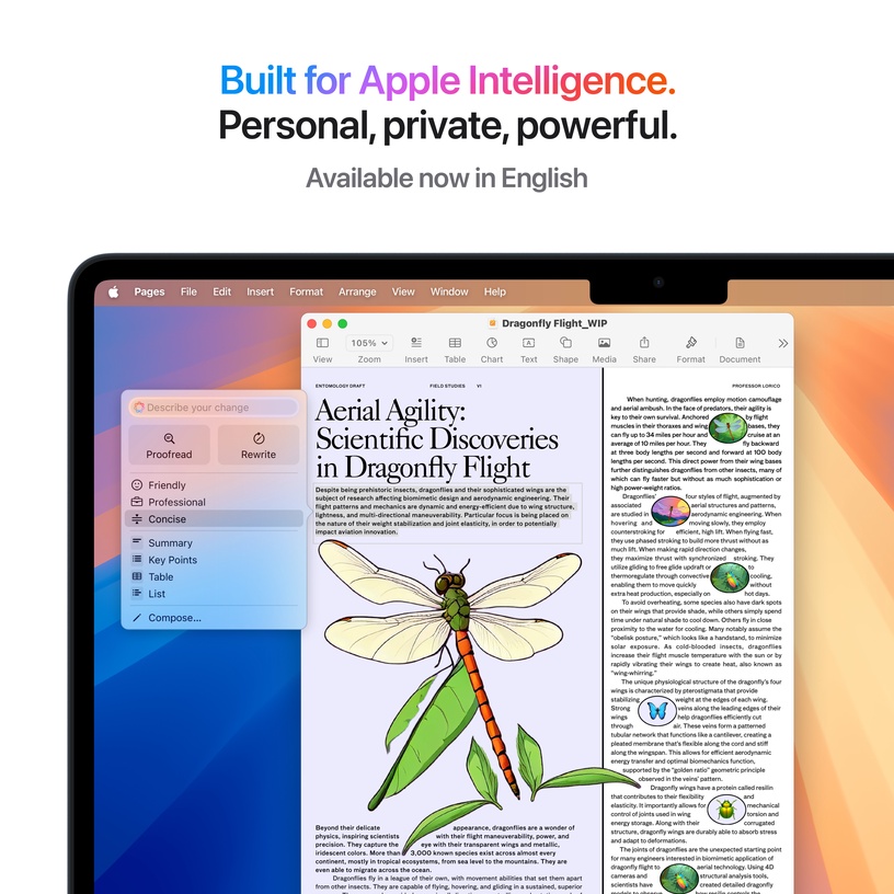 Sülearvuti Apple MacBook Air 13, M4, 16 GB, 256 GB, 13.6 ", 8-Core GPU, midnight, inglise (int)
