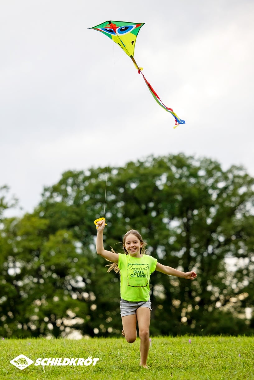 Воздушный змей Schildkrot Classic Kite CrazyBird, 70 см, многоцветный